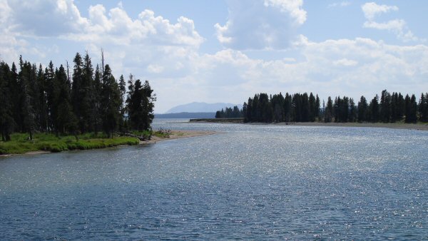 Yellowstone river