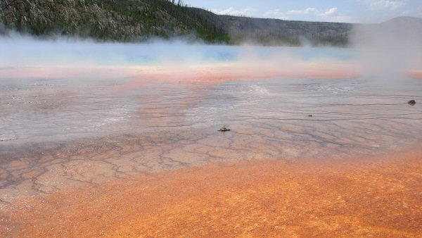 Prismatic Spring